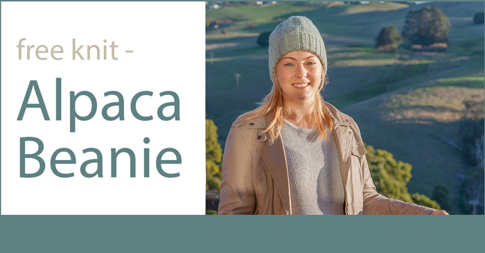 Free Knit of the Month - Alpaca Beanie knitting pattern